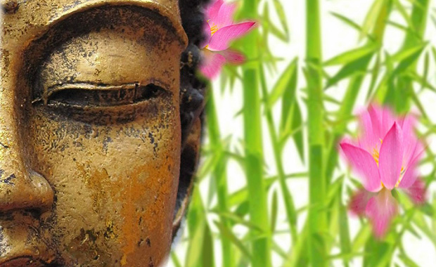 Der Weg nach Innen in Deine weibliche Kraft