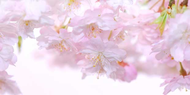 Gedankenhygiene und Eigenverantwortung